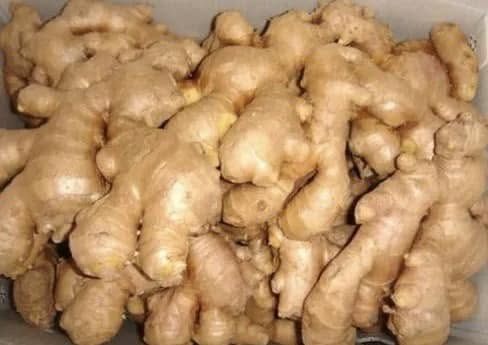 Ginger