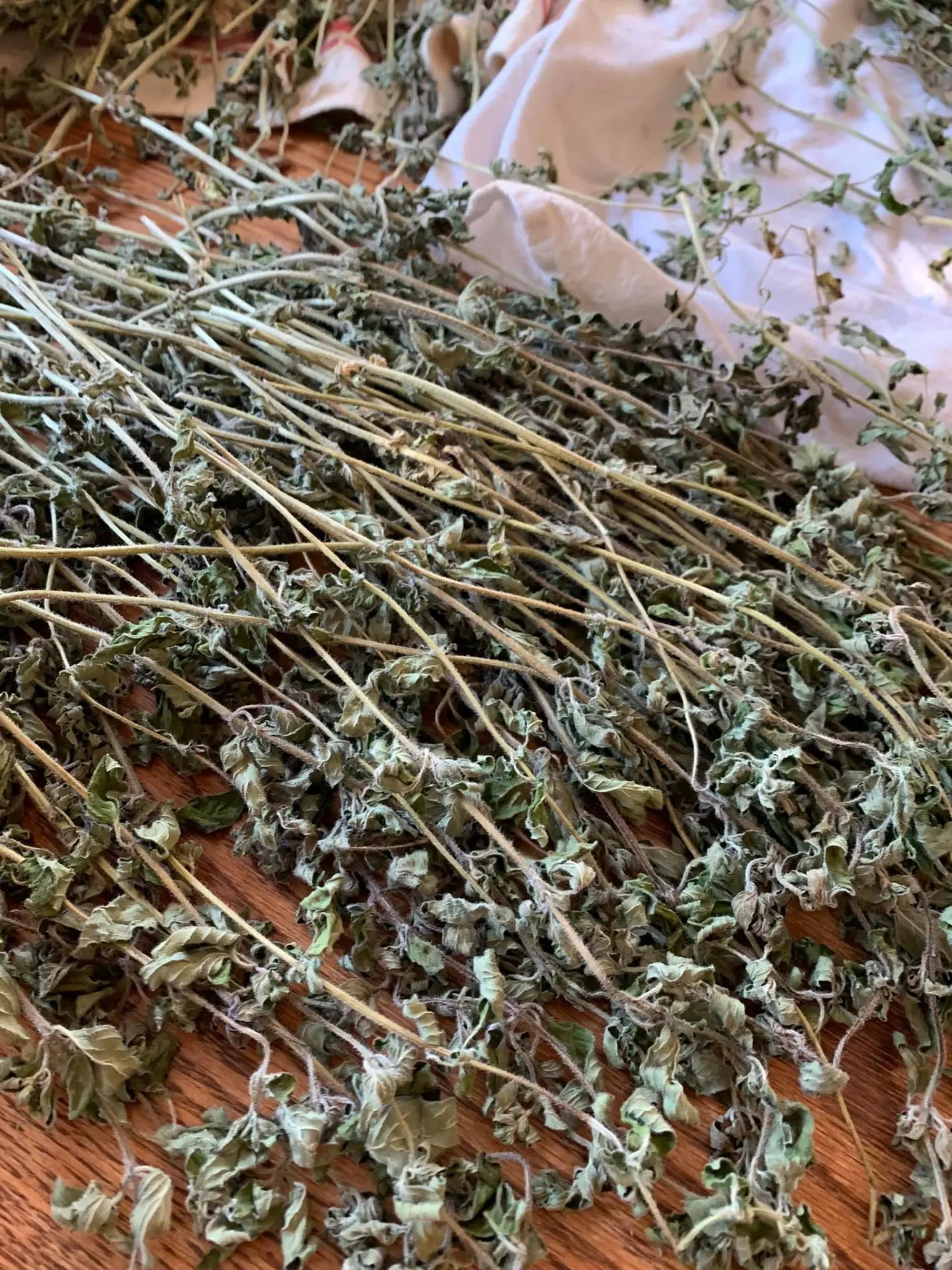 Drying Herbs Without a Dehydrator