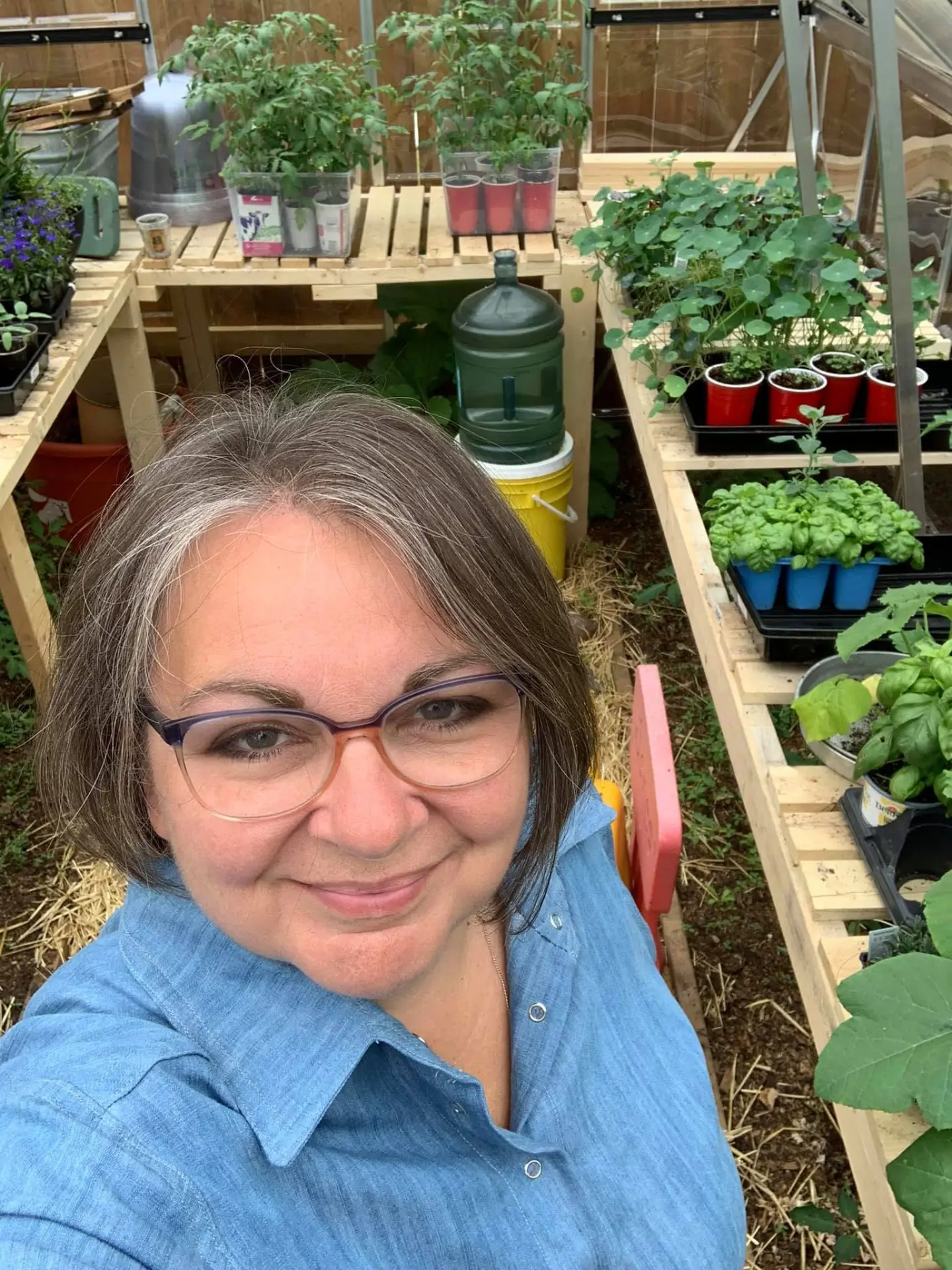 Cindy smiling inside her greenhouse surrounded by trays of tomato, basil and nasturtium seedlings
