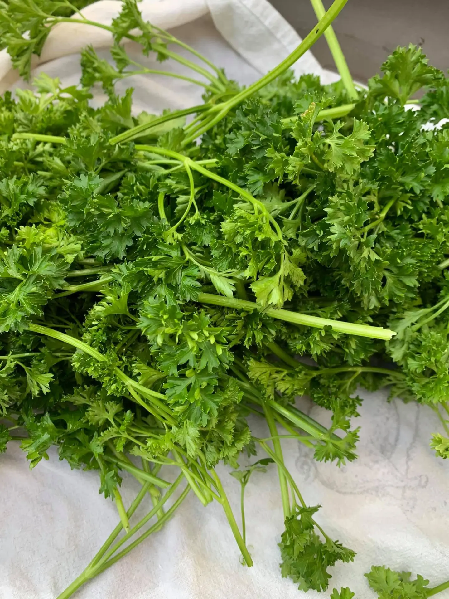 Parsley