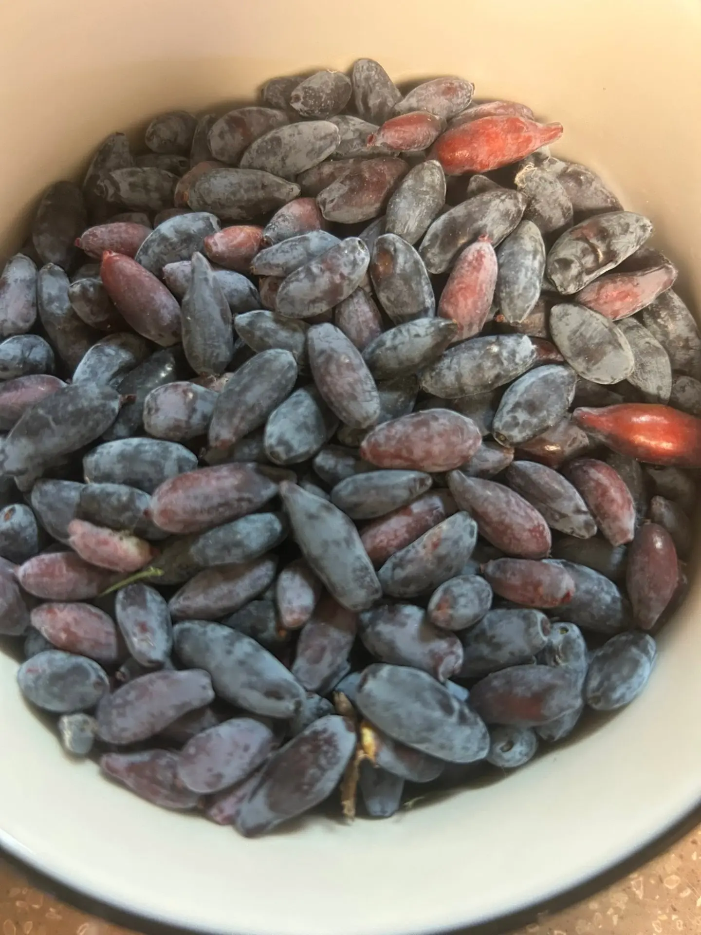 Haskap (Honeyberry)